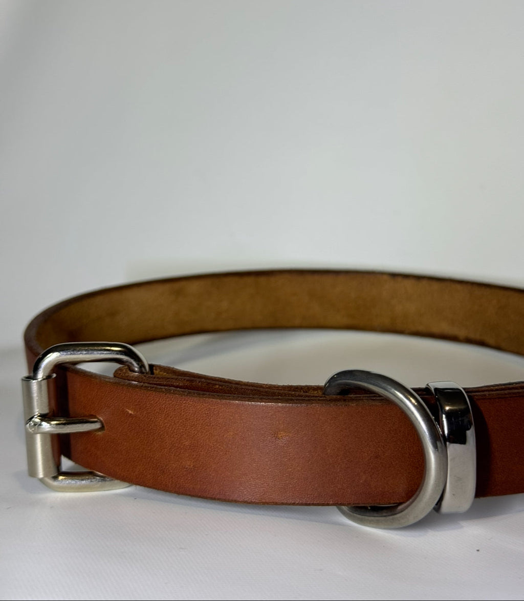 Tan Dog Collar