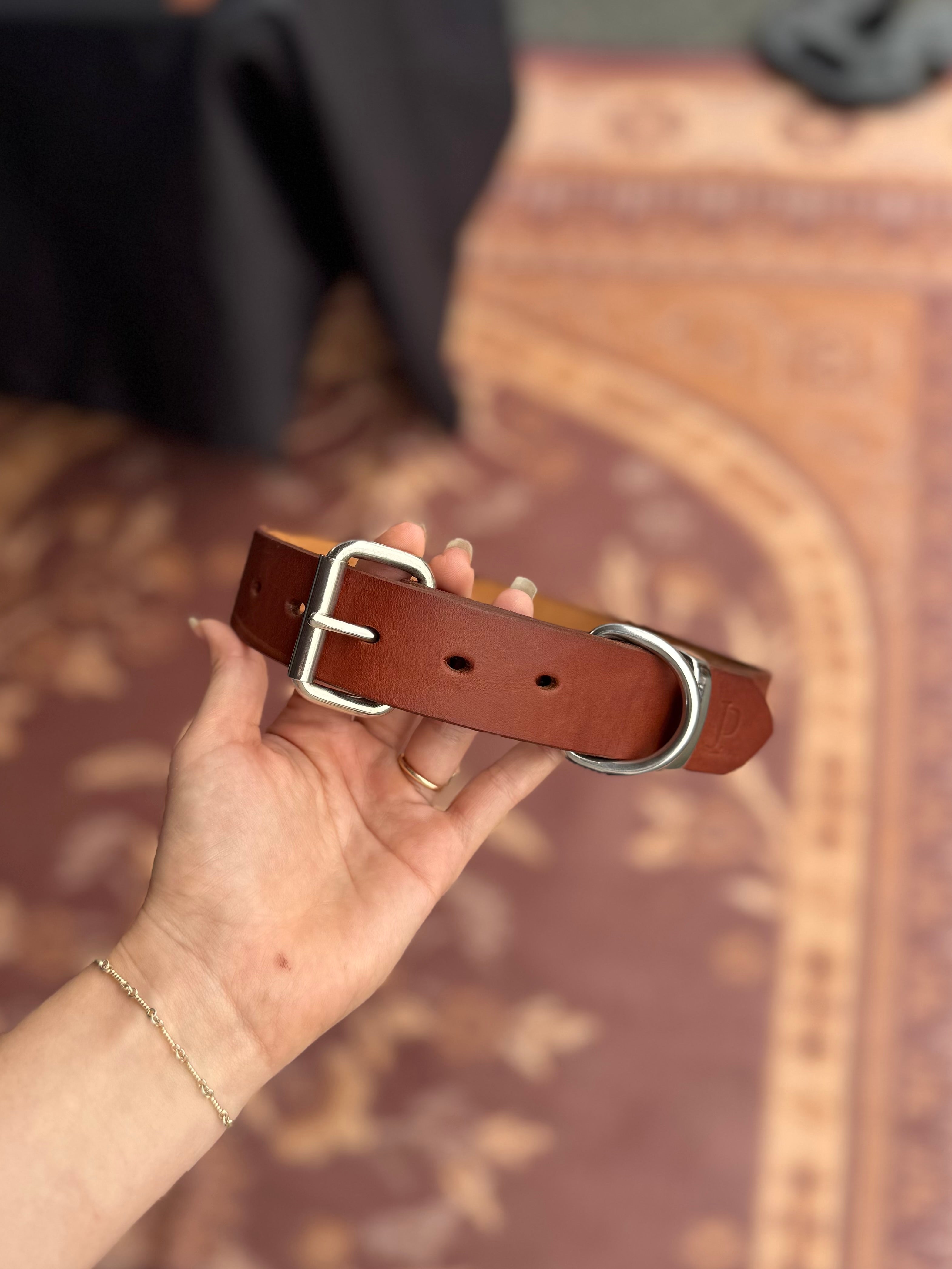 Tan Dog Collar